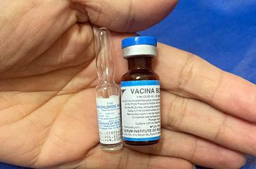 Vacina BCG contra a Tuberculose. Ampolas da Vacina BCG. Foto: SEMSA/Manaus