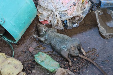 Porto Alegre (RS), 17/05/2024 – CHUVAS RS- DESABRIGADOS - Moradores desabrigados da Vila Santo André, divisa de Porto Alegre e Canoas, montam acampamento na rodovia,  esperando a água que invadiu suas casas baixe. - Lixo acumulado na Vila Santo André. Foto: Rafa Neddermeyer/Agência Brasil